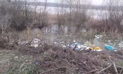 BUDEASA DEZASTRU ECOLOGIC