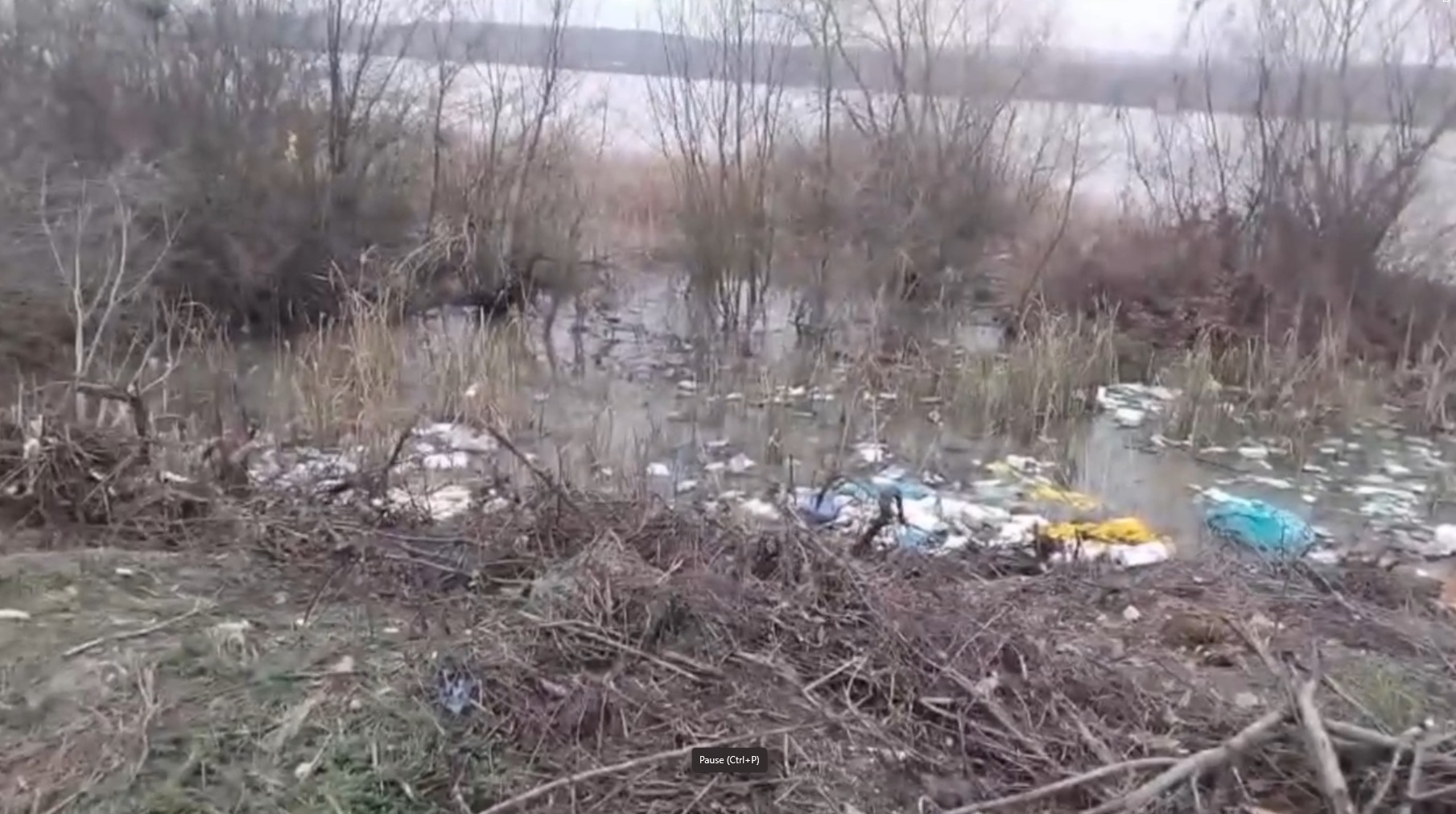 BUDEASA DEZASTRU ECOLOGIC