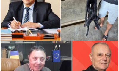 Primari lista rusinii